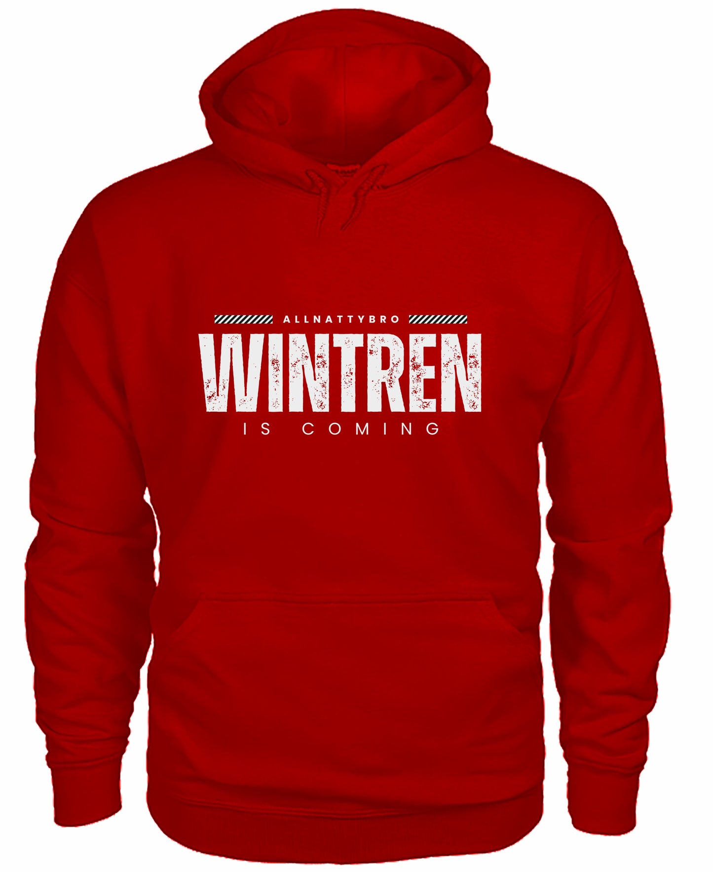 Wintren is Coming Gym Hoodie